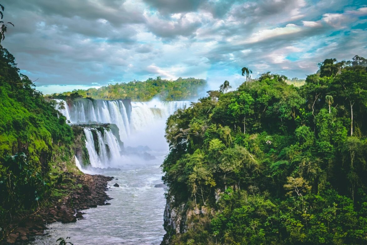 Mercado de crédito de carbono acelera no Brasil