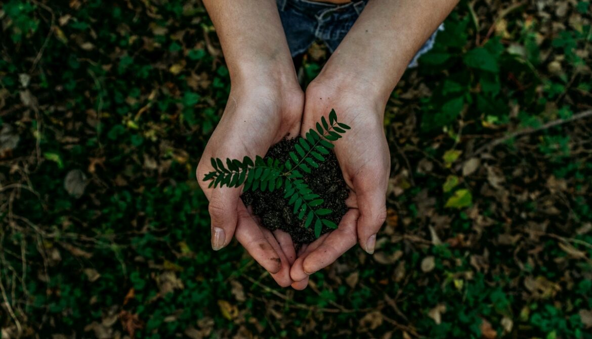 Future Climate abre a conta de restaurar 12 mil hectares